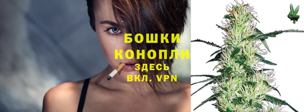 ПСИЛОЦИБИНОВЫЕ ГРИБЫ Абаза