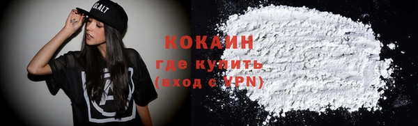 ПСИЛОЦИБИНОВЫЕ ГРИБЫ Абаза