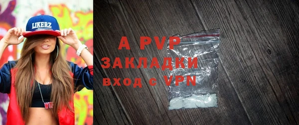 ПСИЛОЦИБИНОВЫЕ ГРИБЫ Абаза