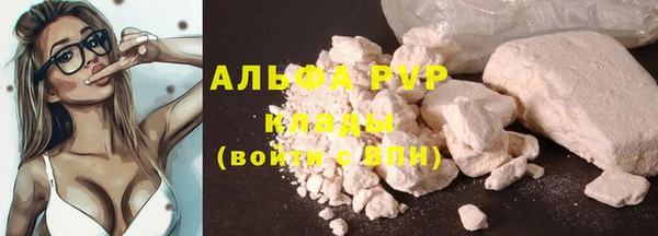 ПСИЛОЦИБИНОВЫЕ ГРИБЫ Абаза