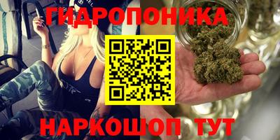 прущая мука Бердск