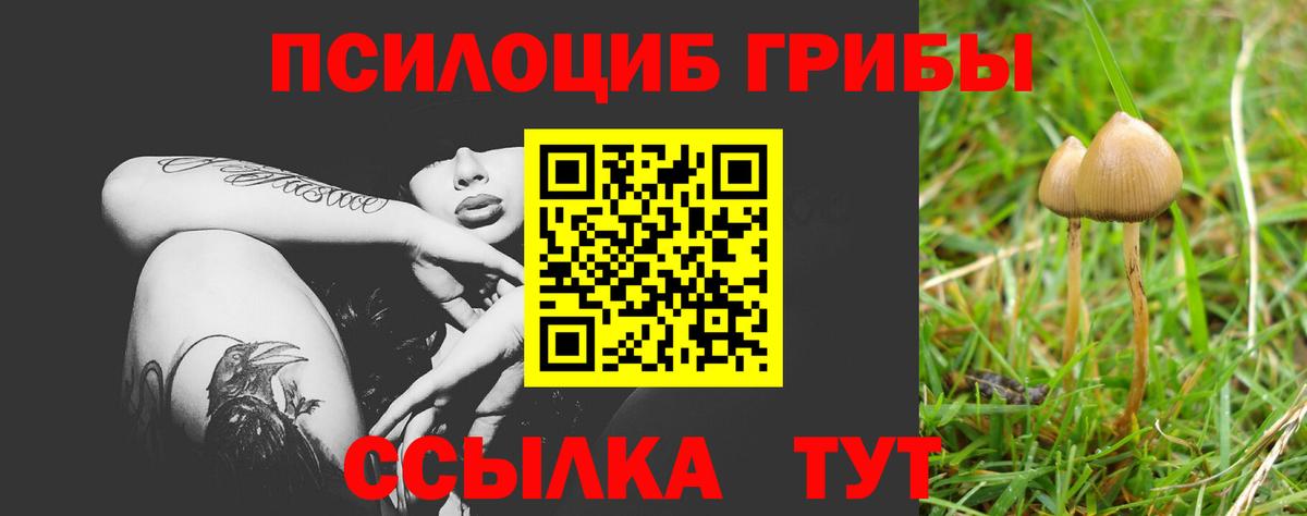 Псилоцибиновые грибы Psilocybine cubensis Стерлитамак